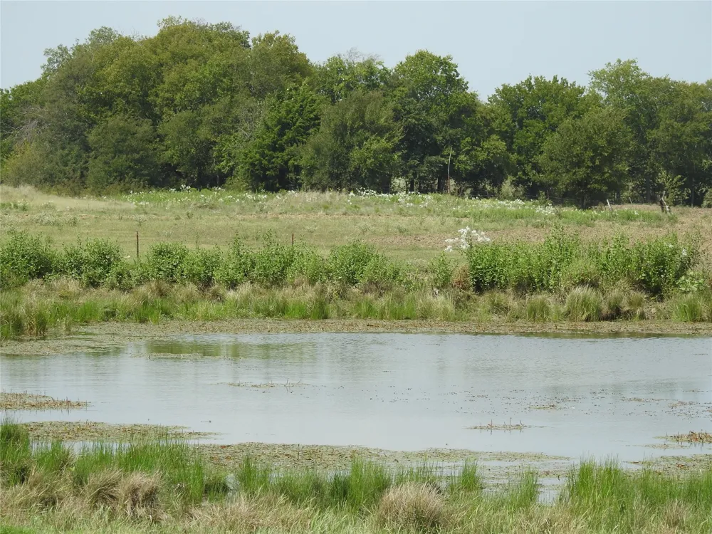 County Road 4040 Ector, TX 75439