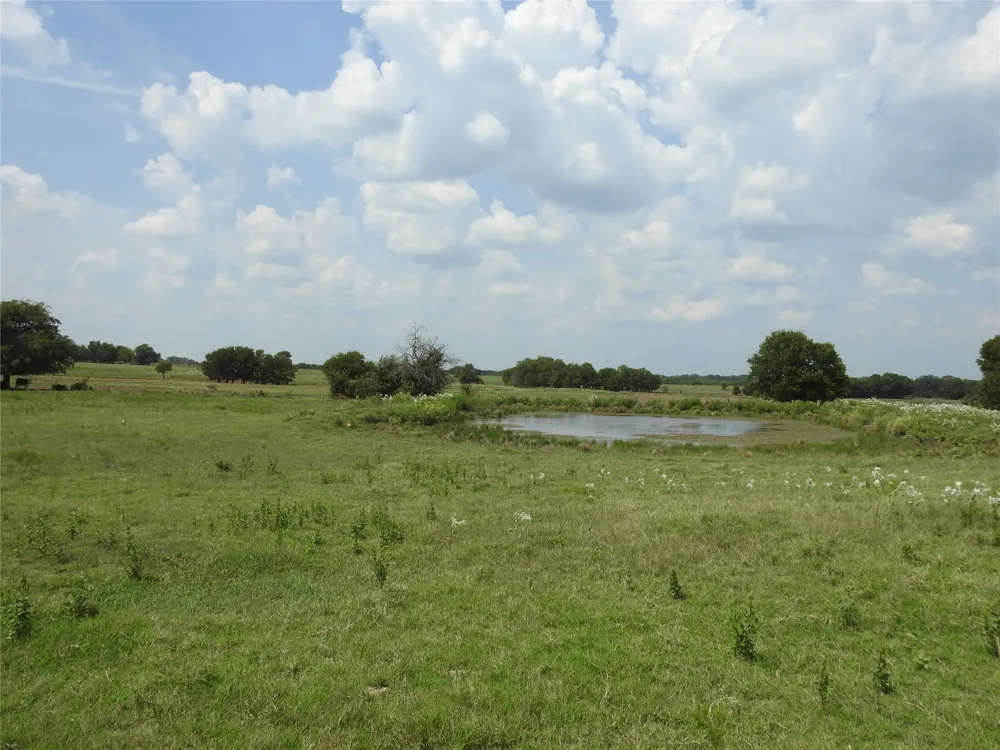 County Road 4040 Ector, TX 75439