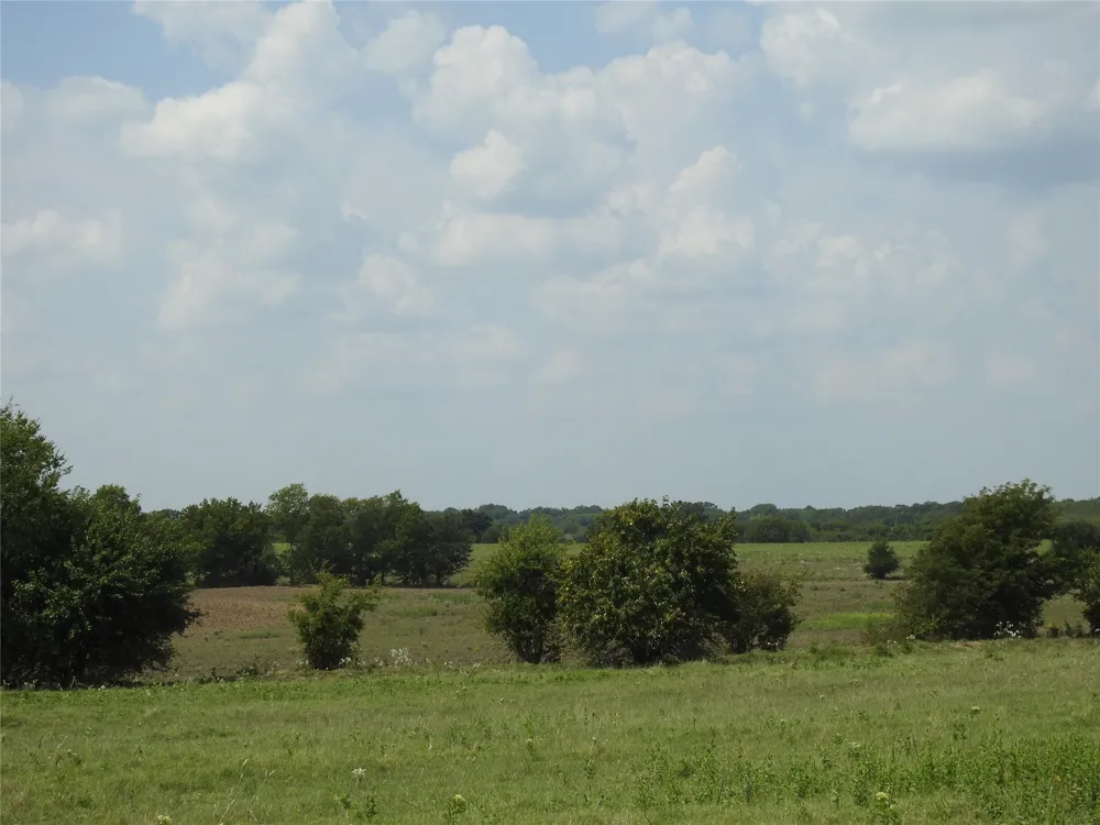 County Road 4040 Ector, TX 75439