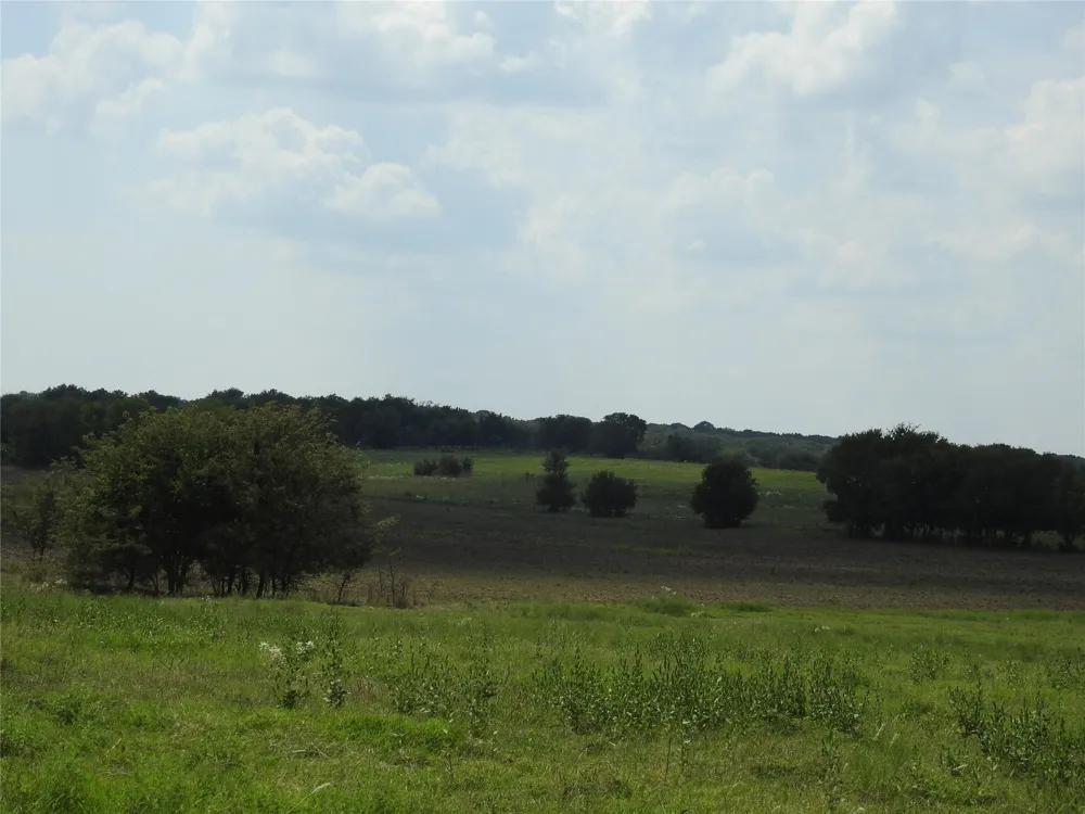 County Road 4040 Ector, TX 75439