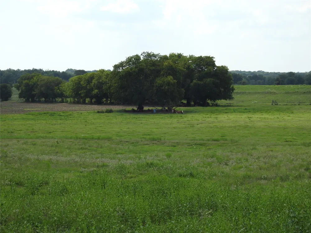County Road 4040 Ector, TX 75439