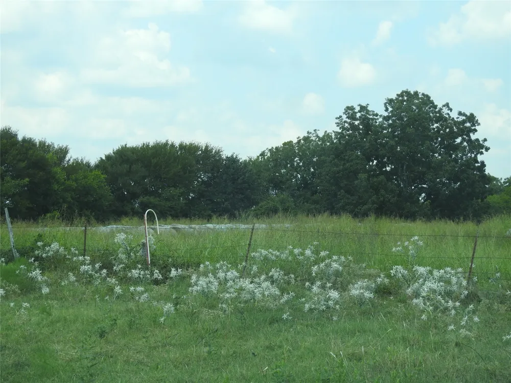 County Road 4040 Ector, TX 75439
