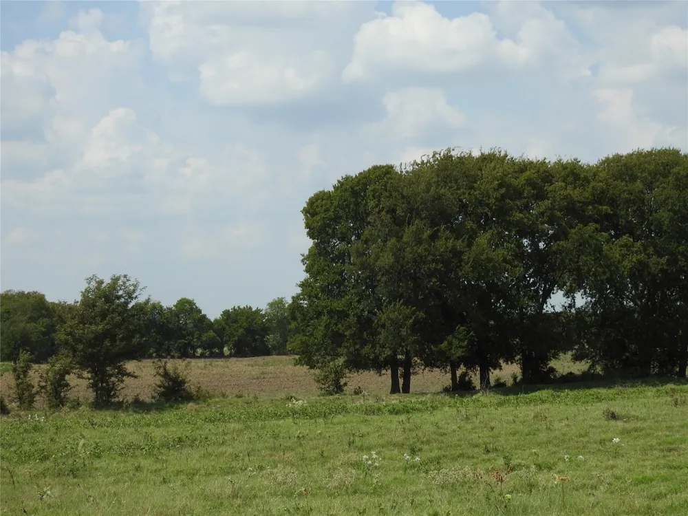 County Road 4040 Ector, TX 75439