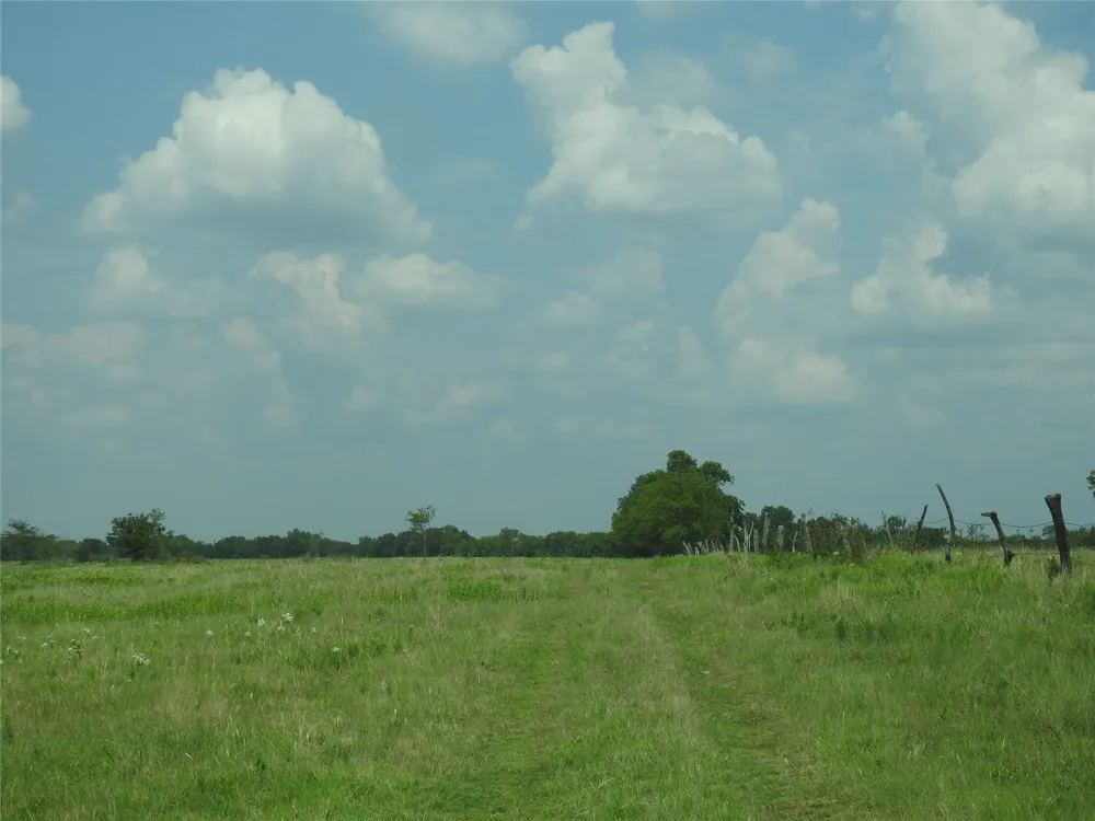County Road 4040 Ector, TX 75439