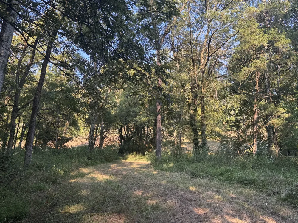 0 Lazy Branch Road Wartrace, TN 37183