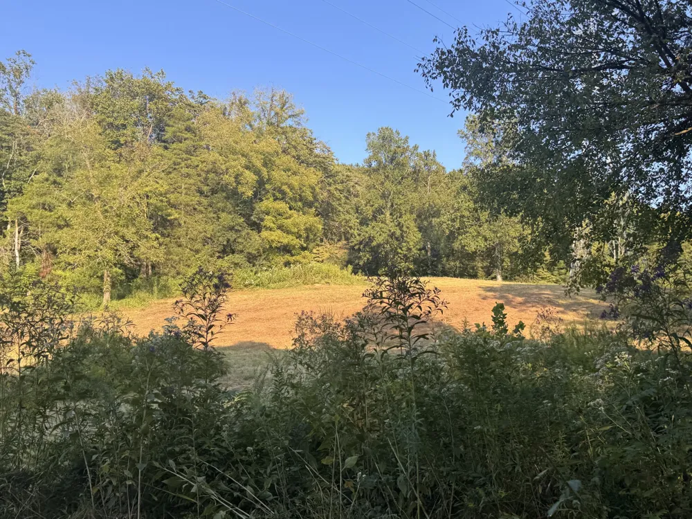 0 Lazy Branch Road Wartrace, TN 37183