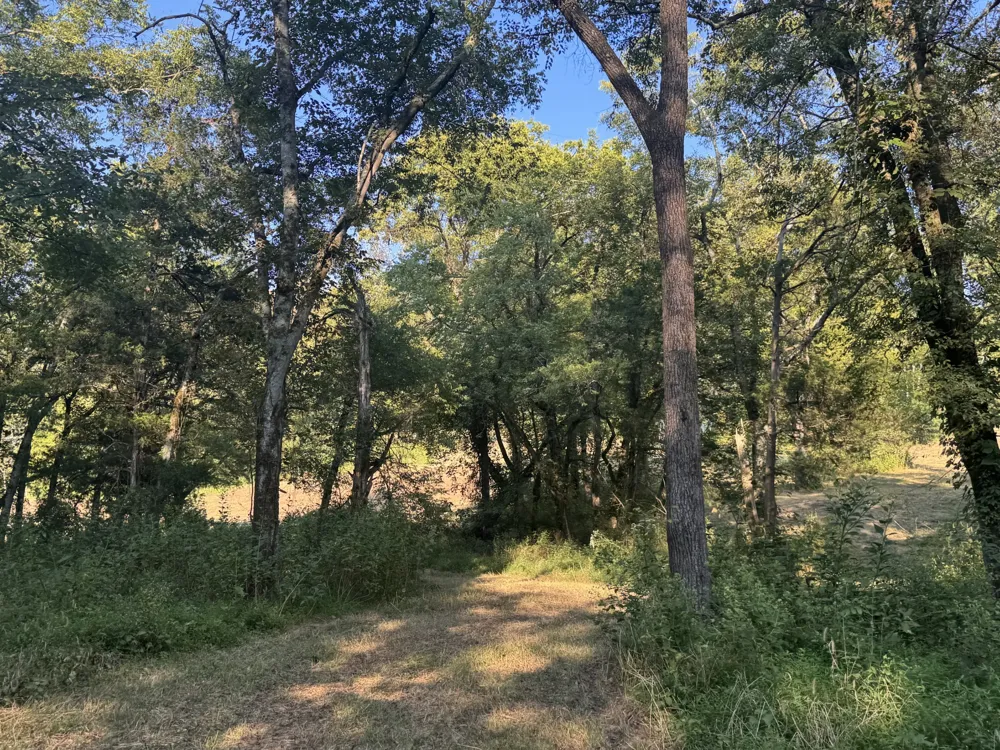 0 Lazy Branch Road Wartrace, TN 37183