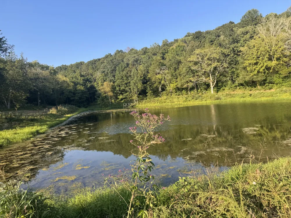 0 Lazy Branch Road Wartrace, TN 37183