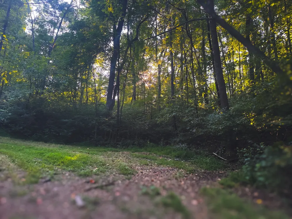 0 Lazy Branch Road Wartrace, TN 37183