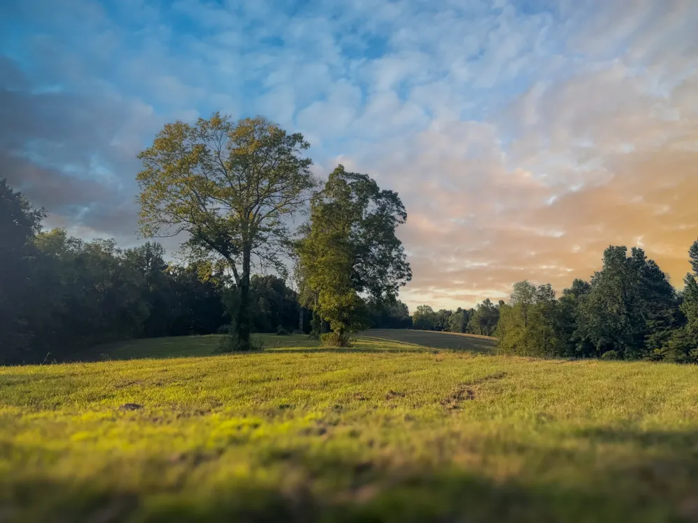 0 Lazy Branch Road Wartrace, TN 37183