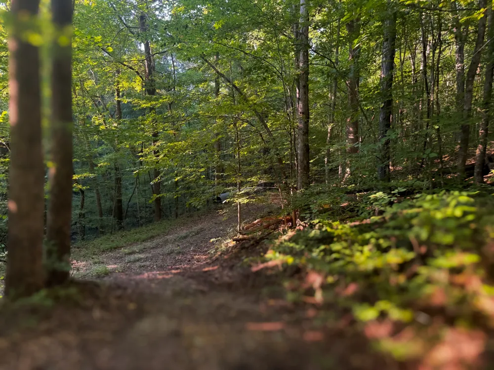 0 Lazy Branch Road Wartrace, TN 37183