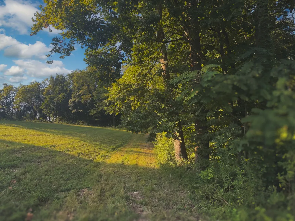 0 Lazy Branch Road Wartrace, TN 37183
