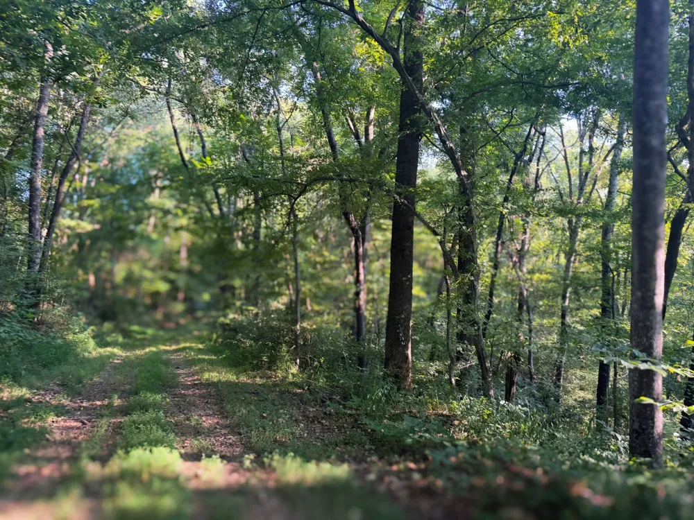 0 Lazy Branch Road Wartrace, TN 37183