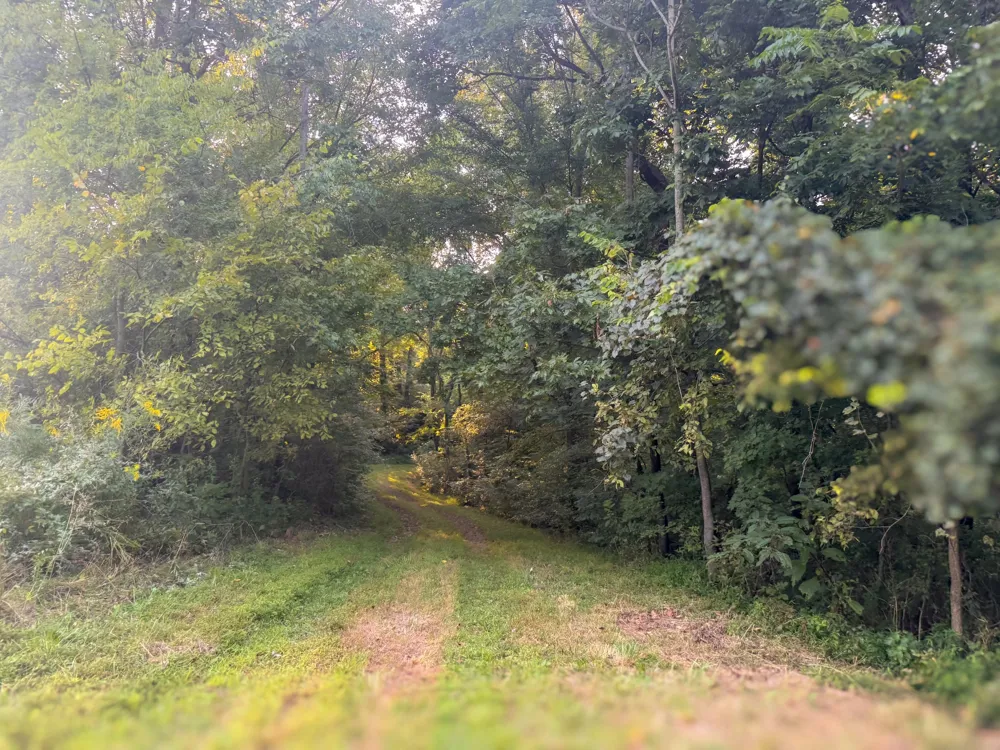 0 Lazy Branch Road Wartrace, TN 37183