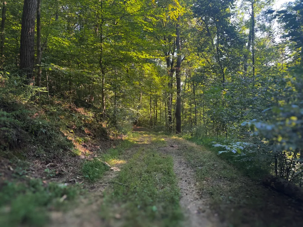 0 Lazy Branch Road Wartrace, TN 37183