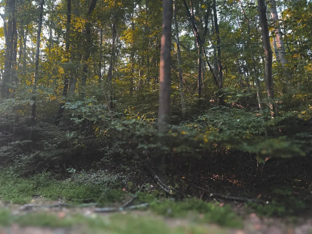 0 Lazy Branch Road Wartrace, TN 37183