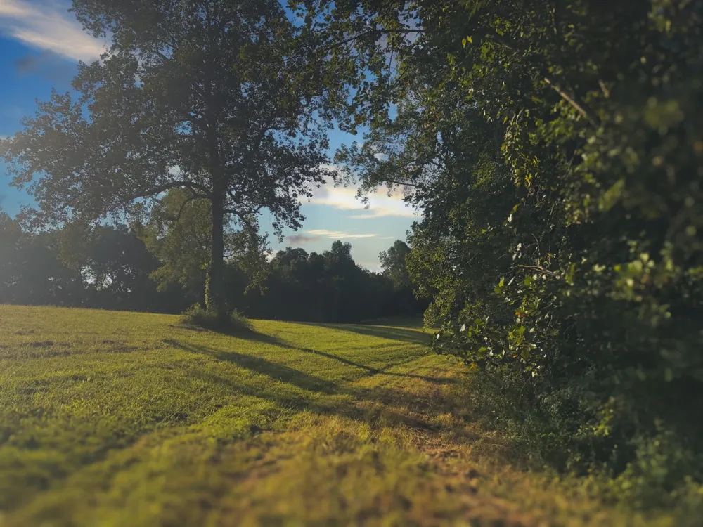 0 Lazy Branch Road Wartrace, TN 37183