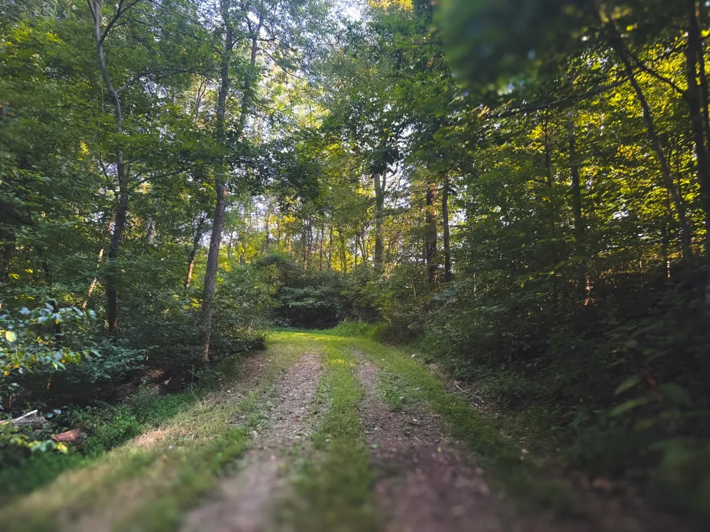 0 Lazy Branch Road Wartrace, TN 37183