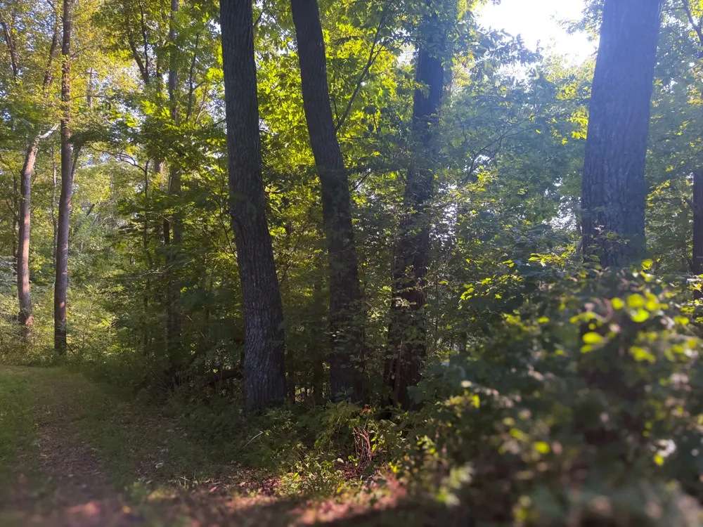 0 Lazy Branch Road Wartrace, TN 37183