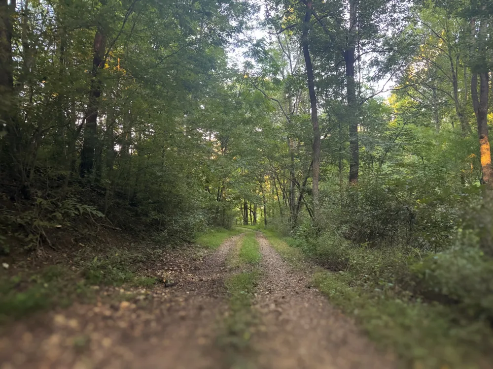 0 Lazy Branch Road Wartrace, TN 37183