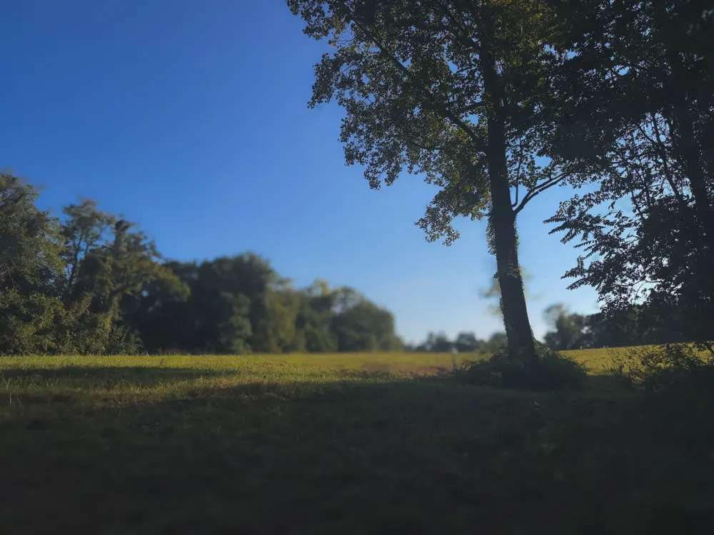 0 Lazy Branch Road Wartrace, TN 37183