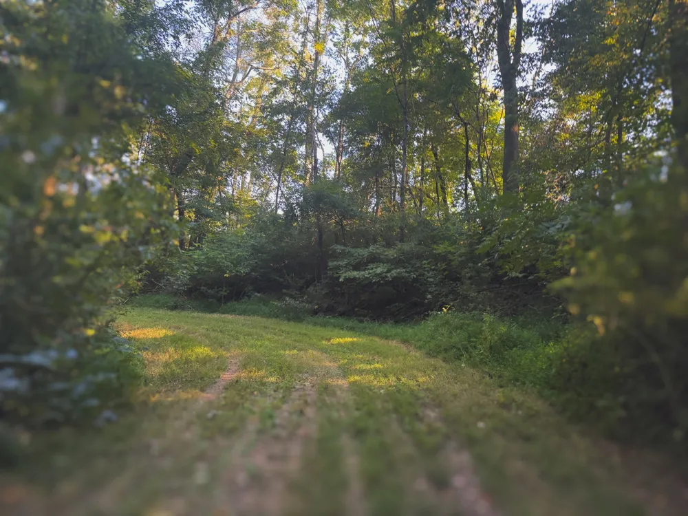 0 Lazy Branch Road Wartrace, TN 37183