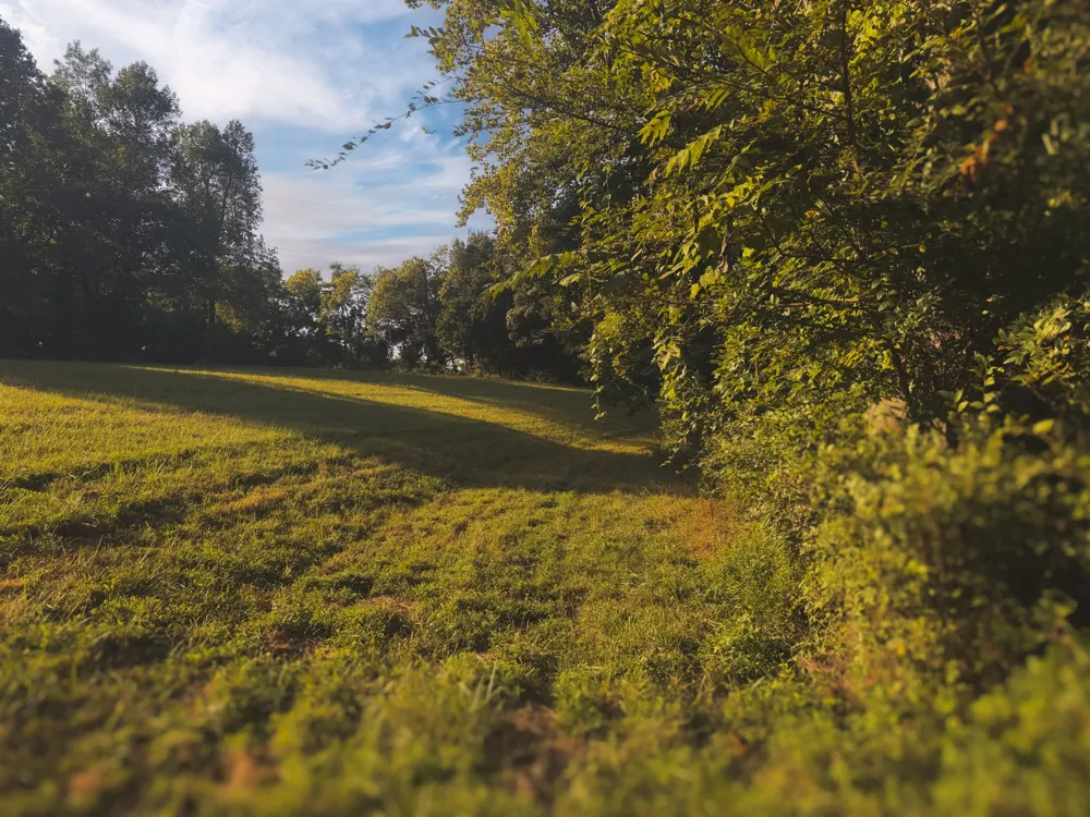 0 Lazy Branch Road Wartrace, TN 37183
