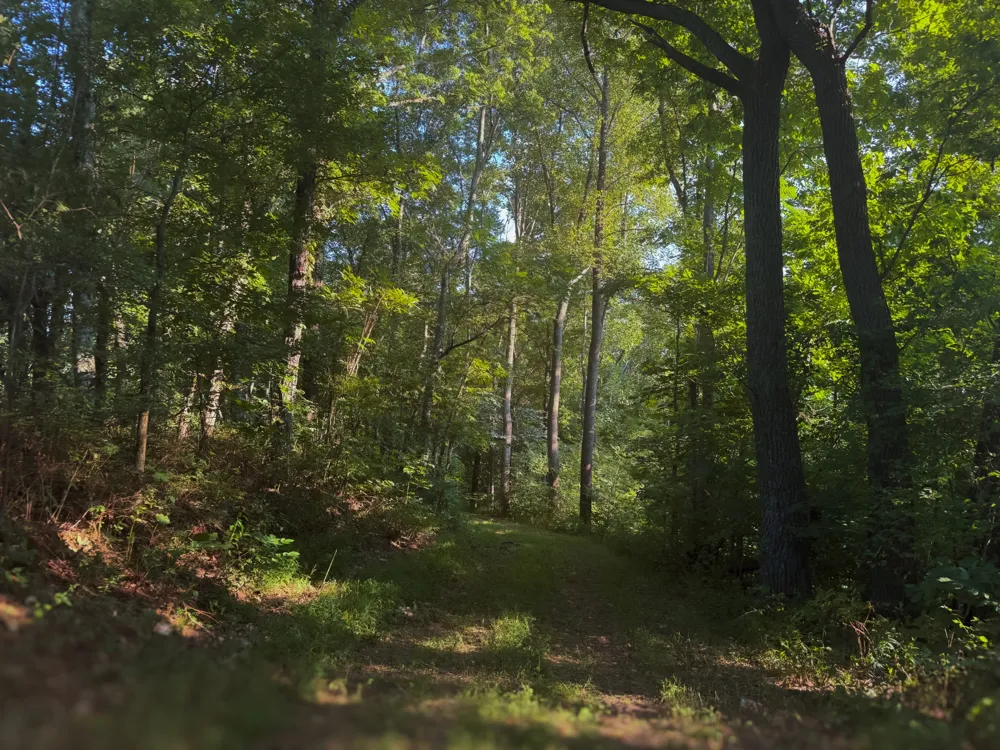 0 Lazy Branch Road Wartrace, TN 37183