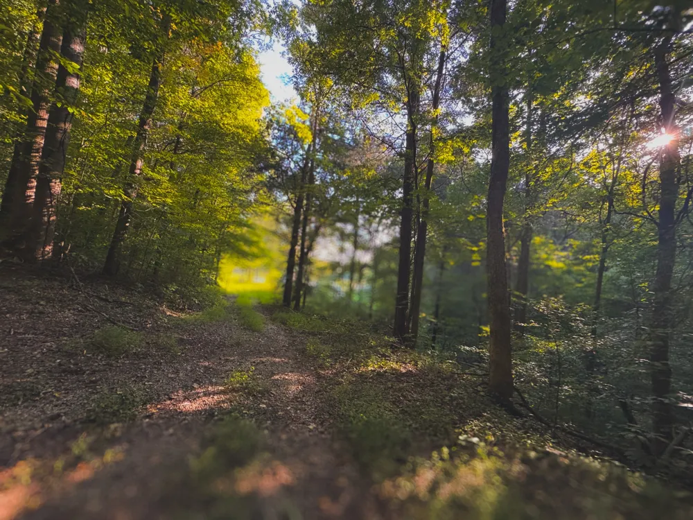0 Lazy Branch Road Wartrace, TN 37183