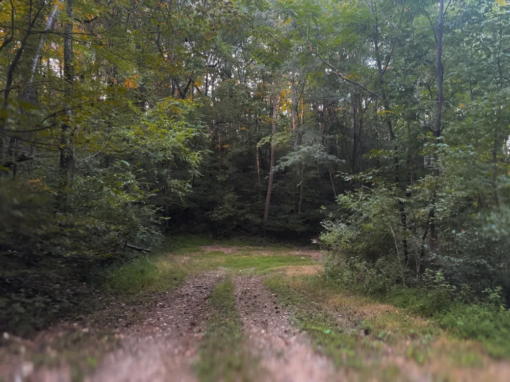 0 Lazy Branch Road Wartrace, TN 37183