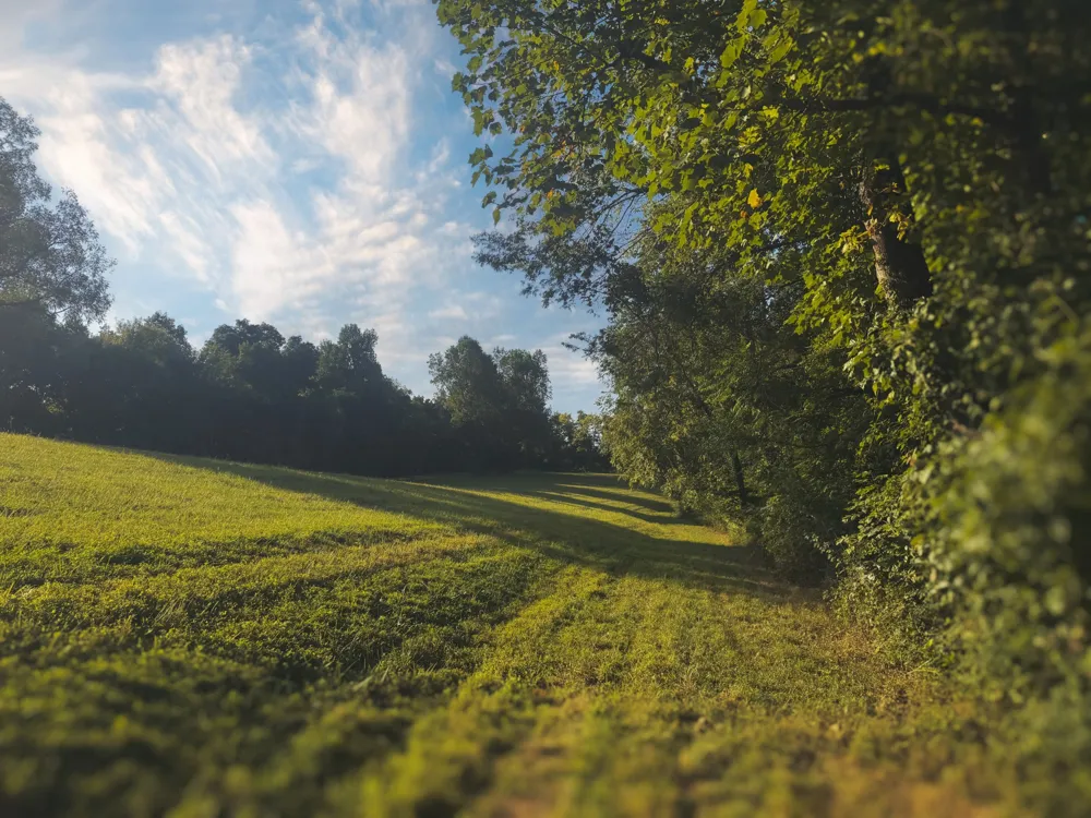 0 Lazy Branch Road Wartrace, TN 37183