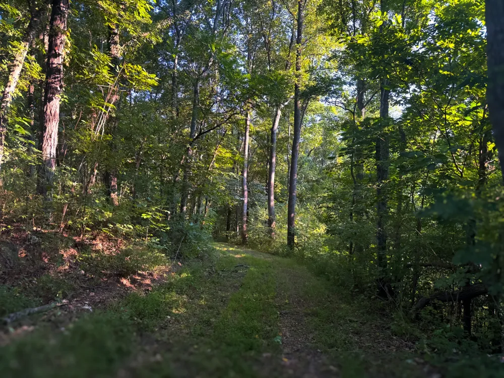 0 Lazy Branch Road Wartrace, TN 37183
