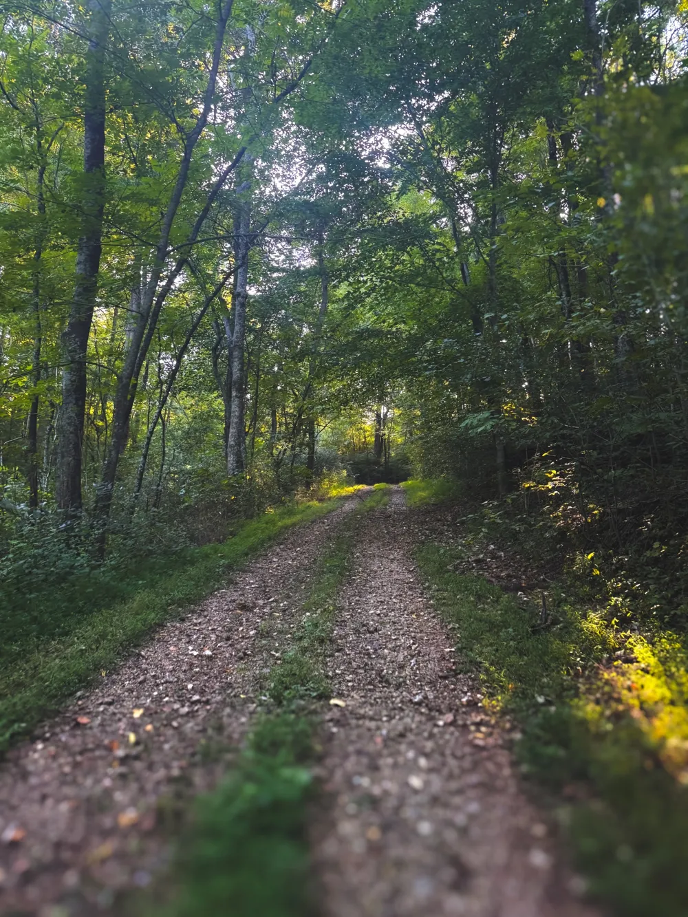 0 Lazy Branch Road Wartrace, TN 37183