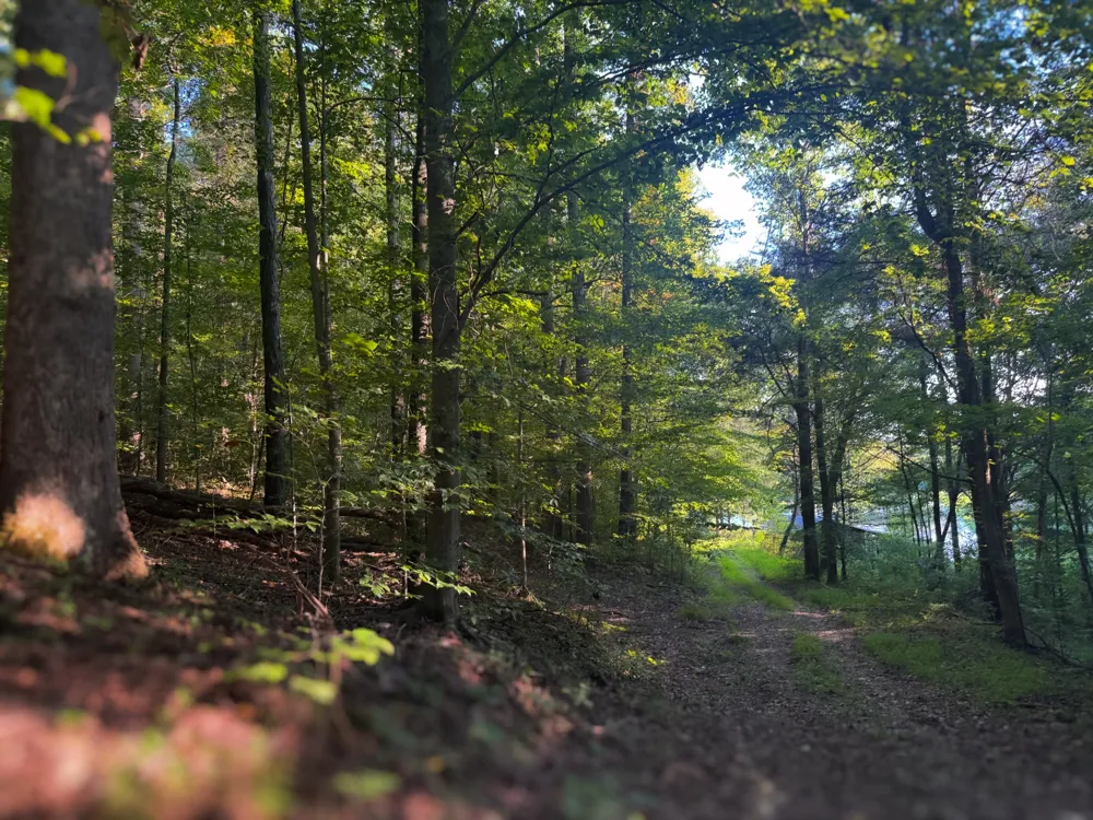 0 Lazy Branch Road Wartrace, TN 37183