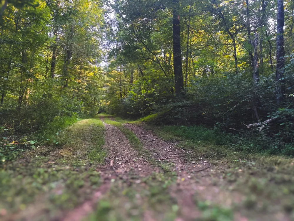 0 Lazy Branch Road Wartrace, TN 37183
