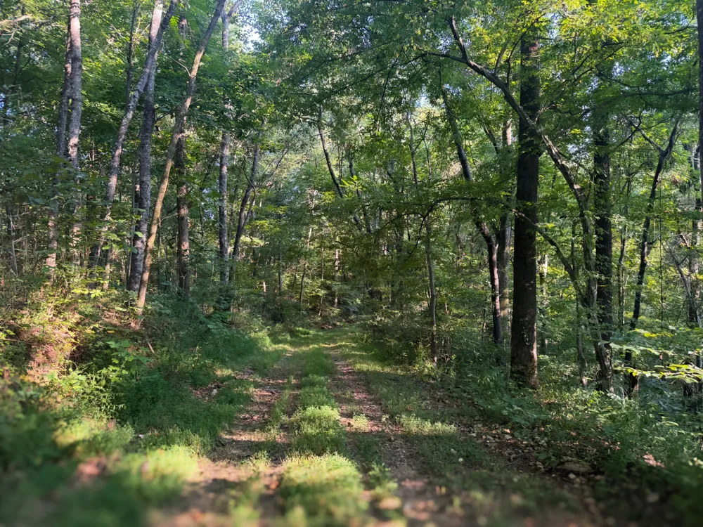 0 Lazy Branch Road Wartrace, TN 37183