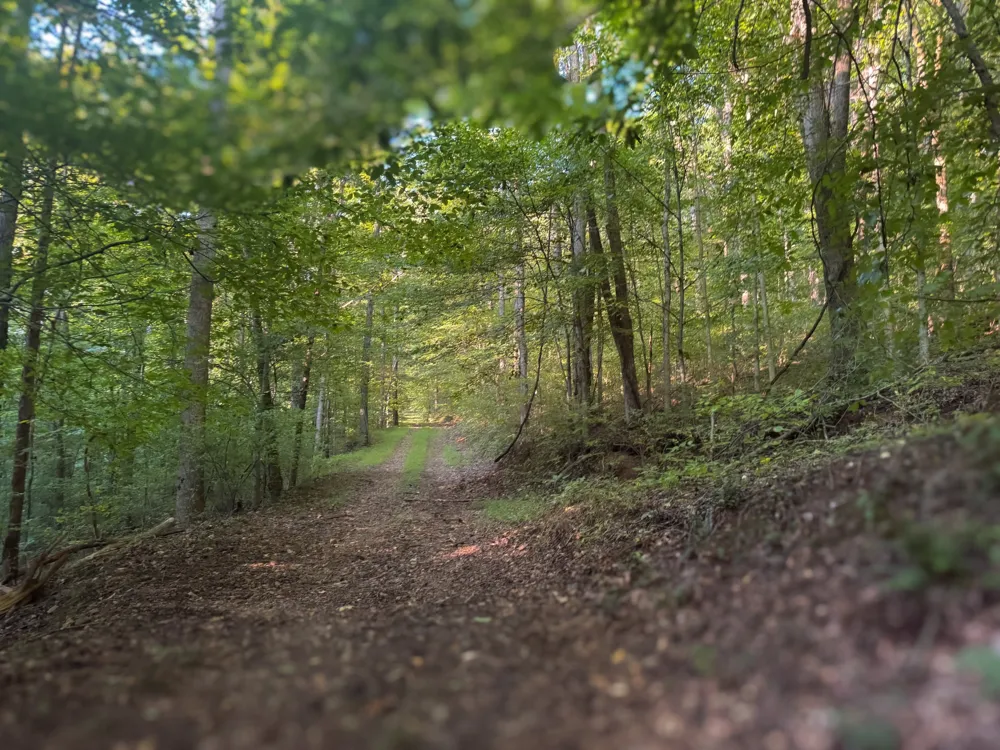 0 Lazy Branch Road Wartrace, TN 37183