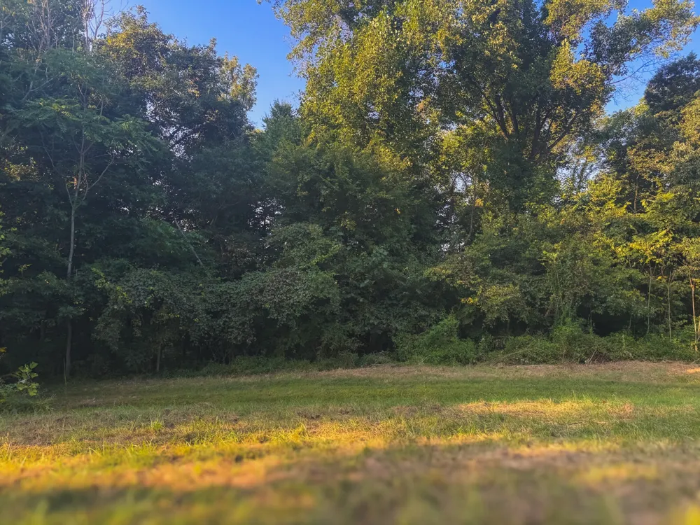 0 Lazy Branch Road Wartrace, TN 37183