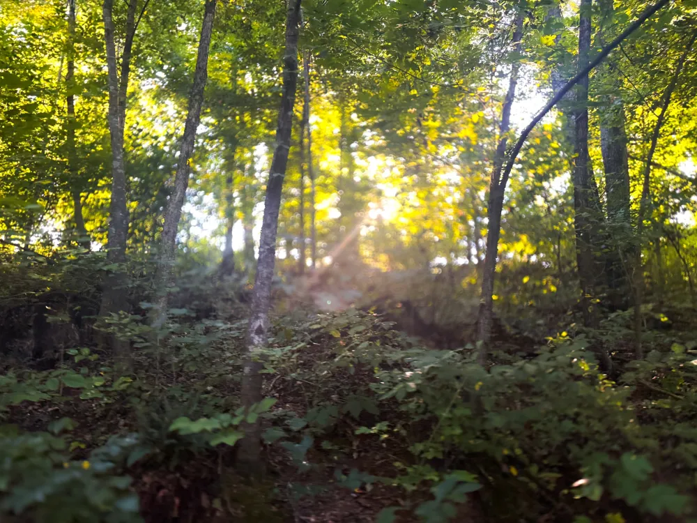 0 Lazy Branch Road Wartrace, TN 37183