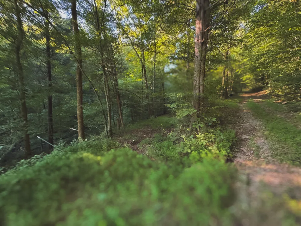 0 Lazy Branch Road Wartrace, TN 37183
