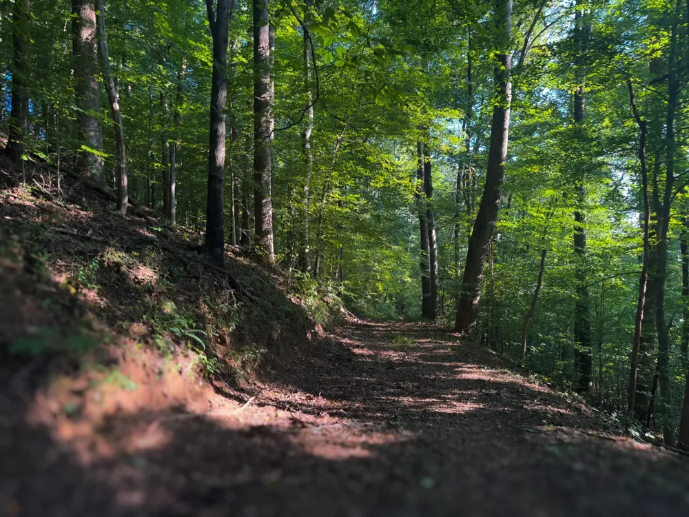 0 Lazy Branch Road Wartrace, TN 37183