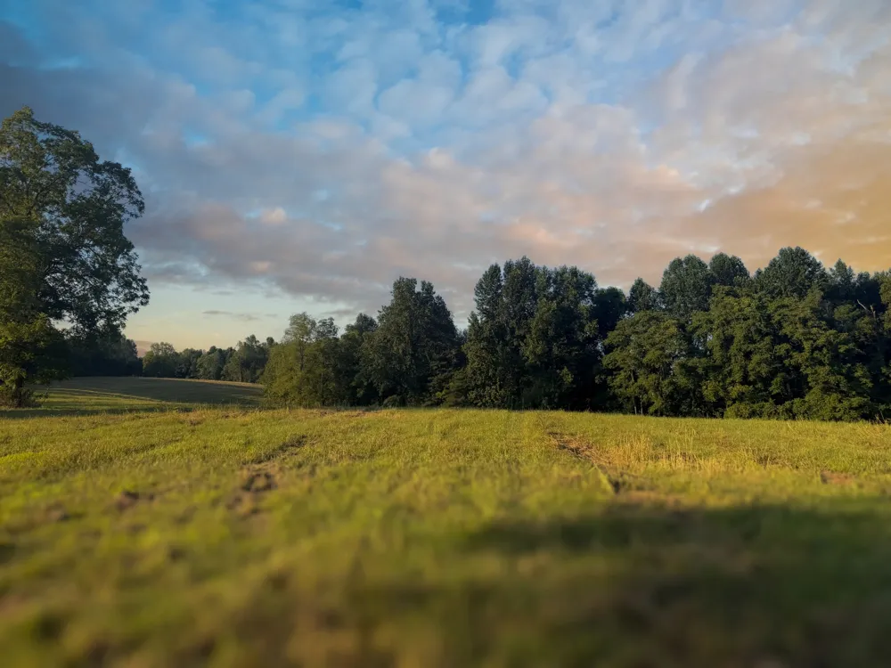 0 Lazy Branch Road Wartrace, TN 37183