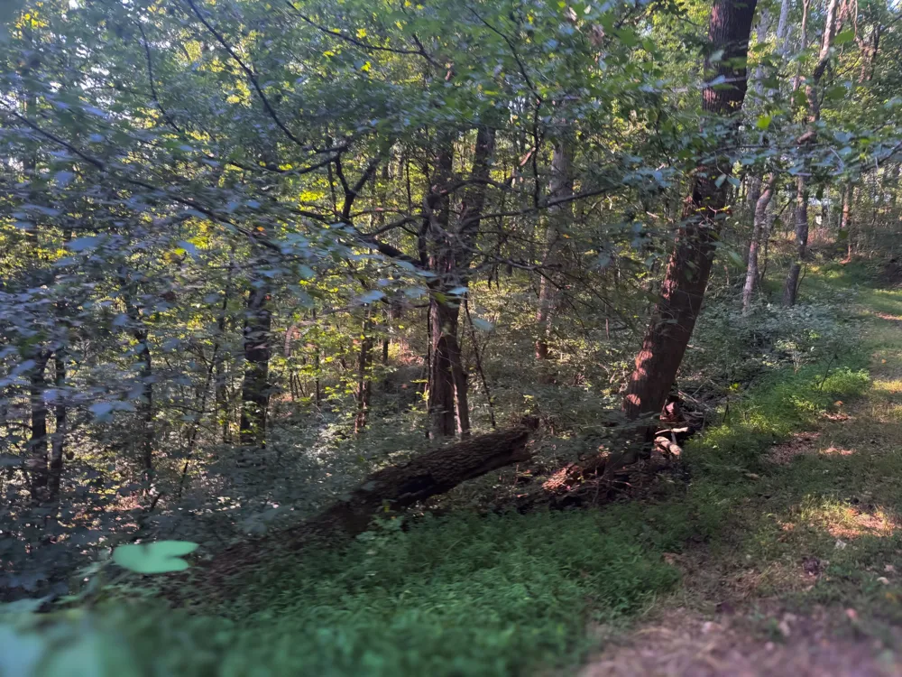 0 Lazy Branch Road Wartrace, TN 37183