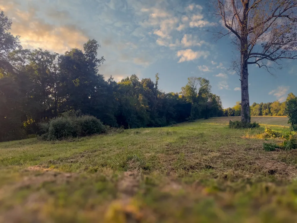 0 Lazy Branch Road Wartrace, TN 37183