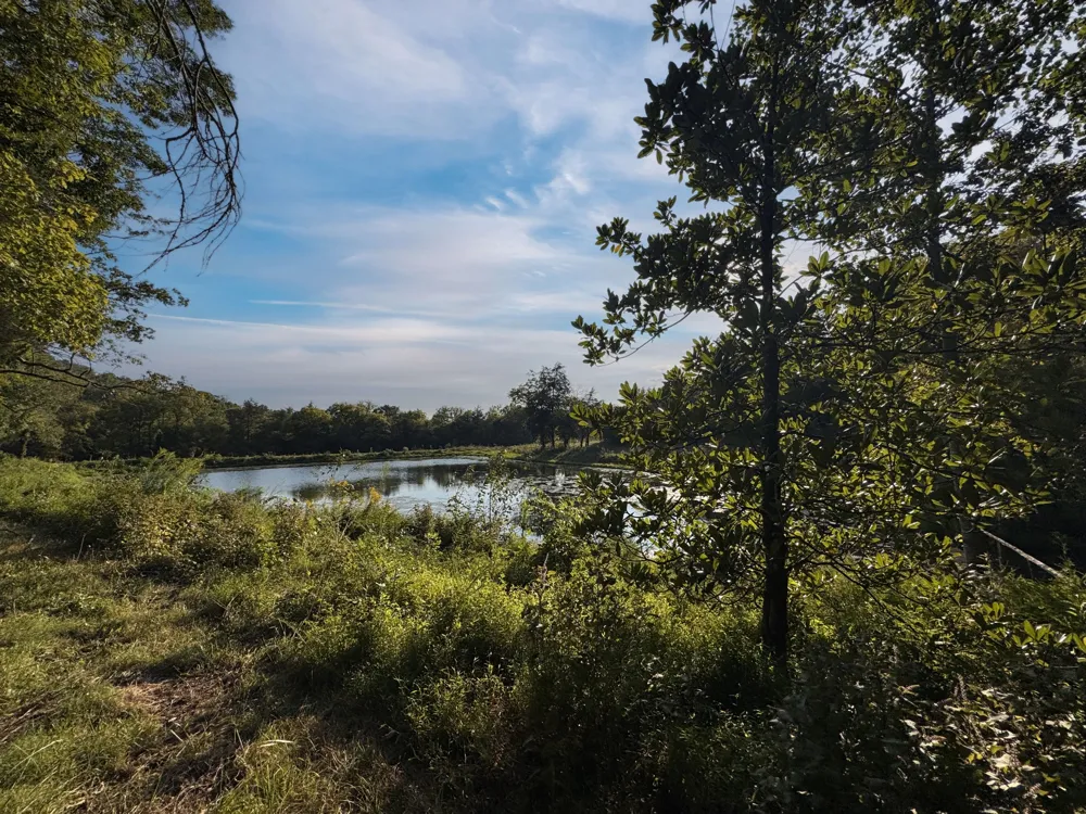 0 Lazy Branch Road Wartrace, TN 37183