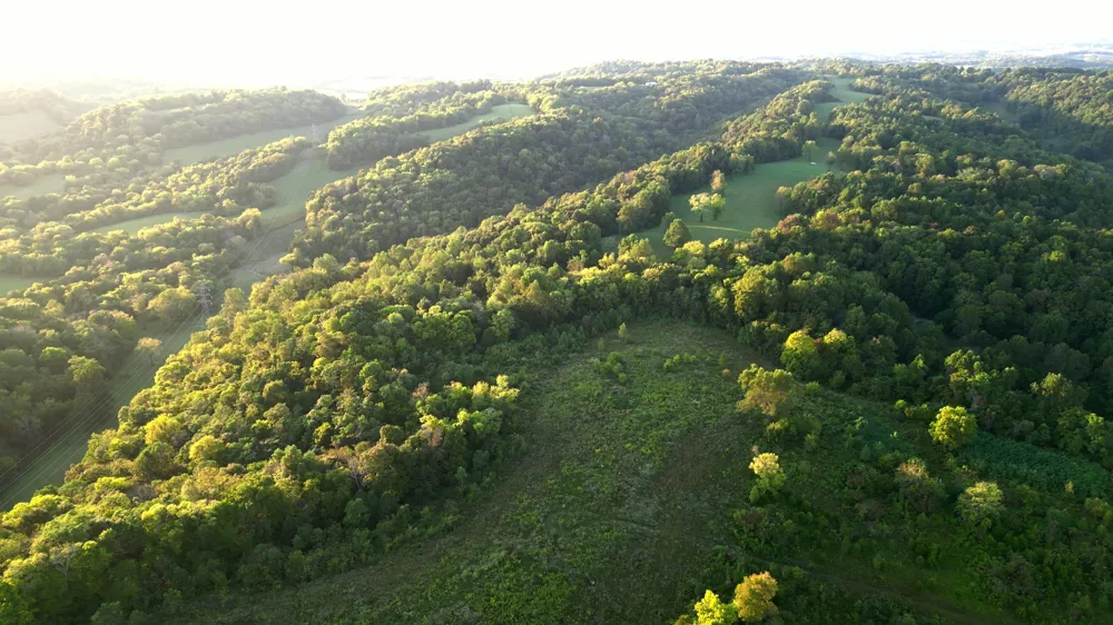 0 Lazy Branch Road Wartrace, TN 37183