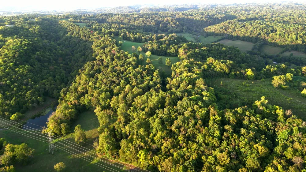 0 Lazy Branch Road Wartrace, TN 37183