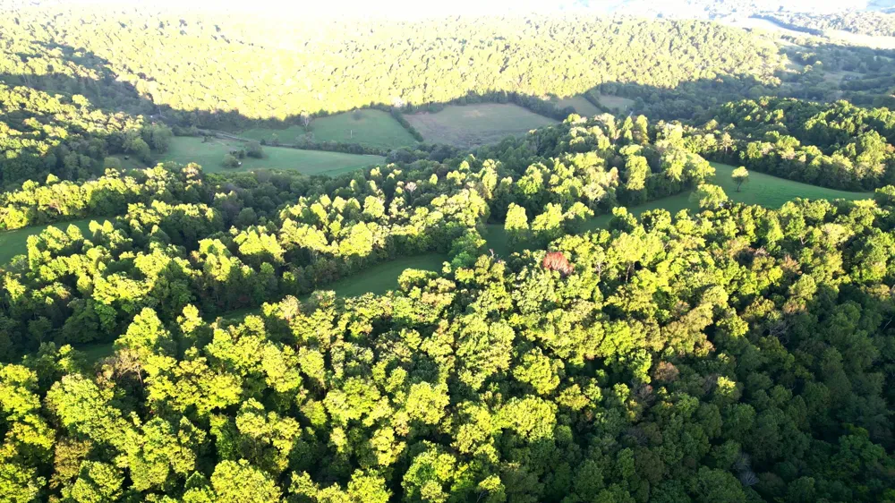 0 Lazy Branch Road Wartrace, TN 37183
