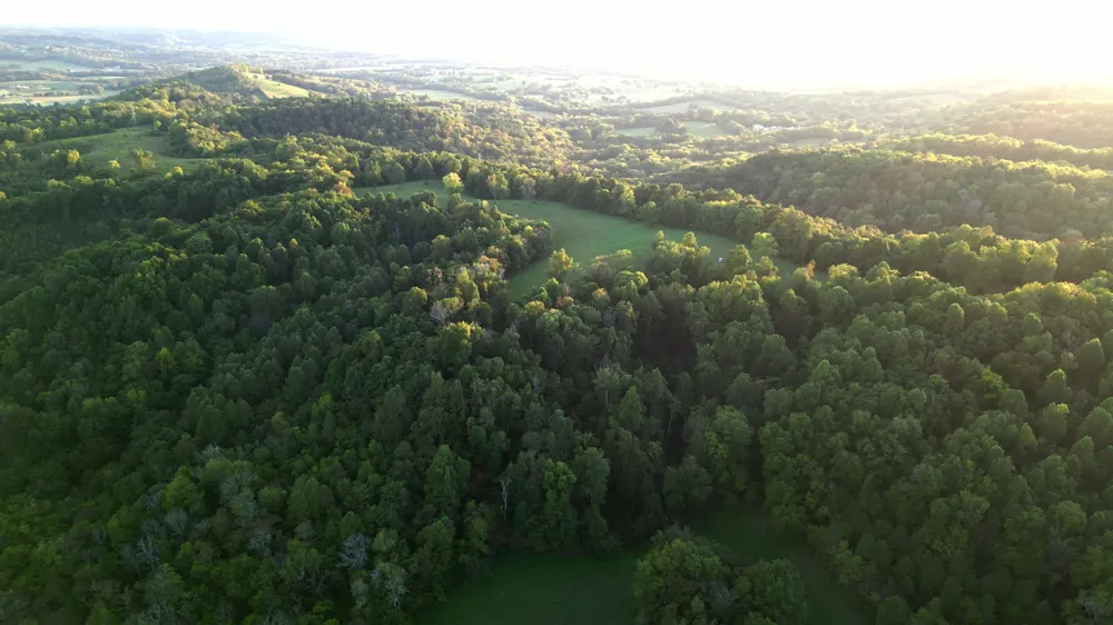 0 Lazy Branch Road Wartrace, TN 37183