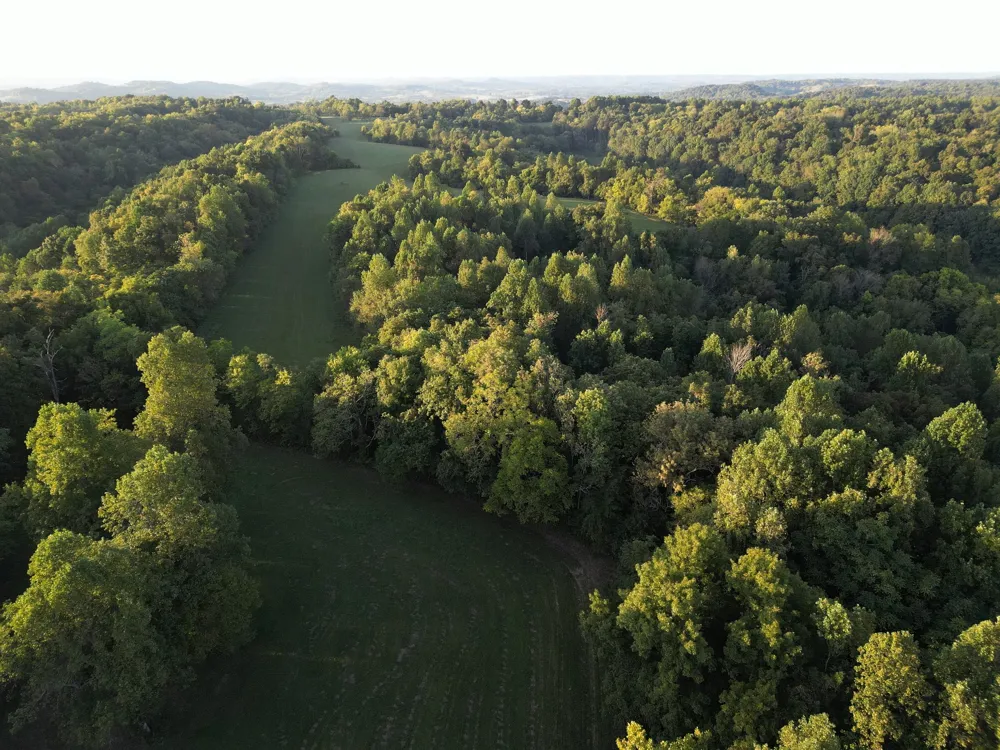 0 Lazy Branch Road Wartrace, TN 37183